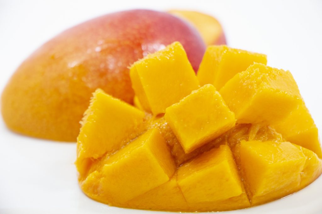 【徹底解説】宮崎でおすすめの葬儀業者8選