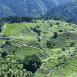 【口コミ・評価】岐阜でおすすめの葬儀業者10選！